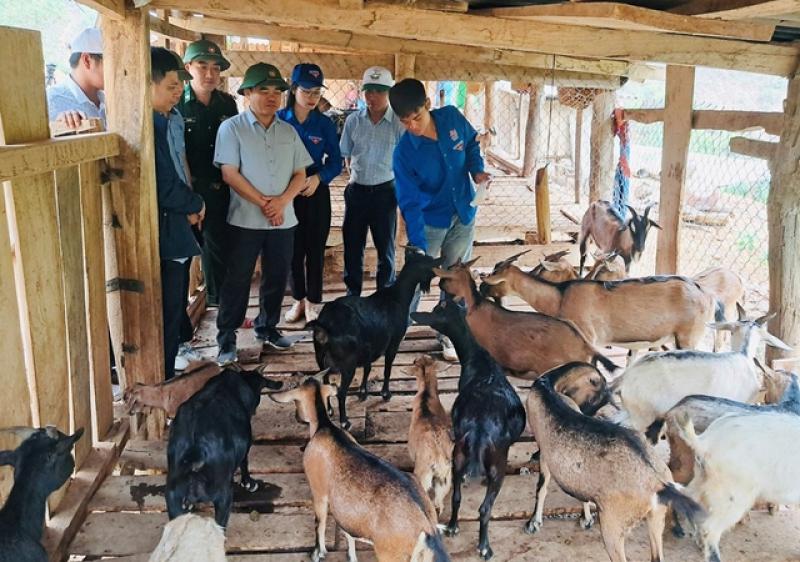Cử nhân về quê nuôi dê- Ảnh 2. Cử nhân về quê nuôi dê- Ảnh 2.