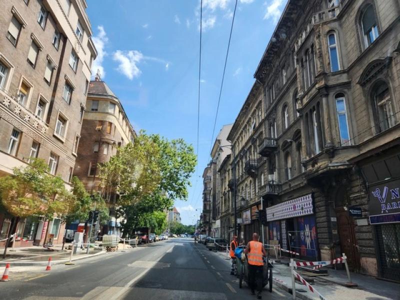 Chung dòng máu Lạc Hồng tại Hungary: Hành trình của người Việt giữa lòng châu Âu - Ảnh 2.