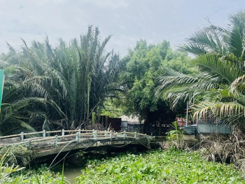 Tên phường xã mới sáp nhập ở TP.HCM: Phường Bình Quới độc nhất 'làng giữa phố'- Ảnh 3. Tên phường xã mới sáp nhập ở TP.HCM: Phường Bình Quới độc nhất 'làng giữa phố'- Ảnh 3.