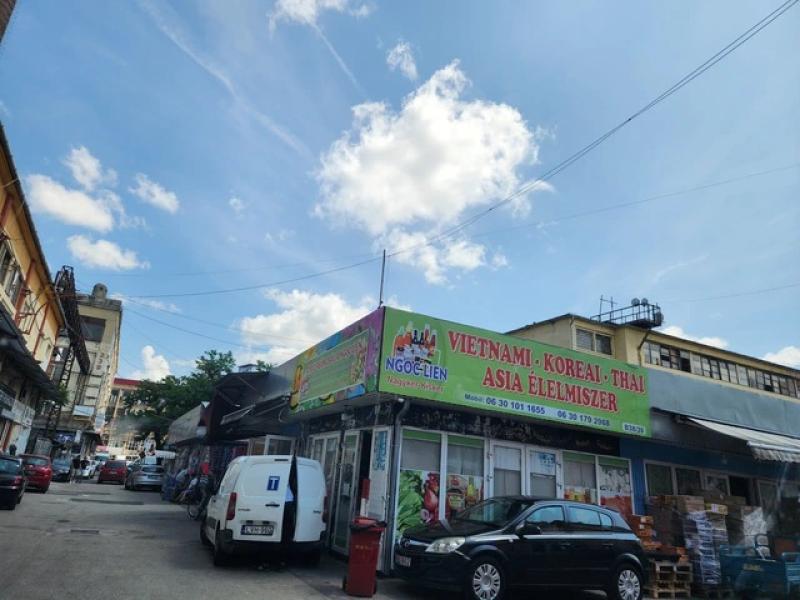 Chung dòng máu Lạc Hồng tại Hungary: Hành trình của người Việt giữa lòng châu Âu - Ảnh 3.