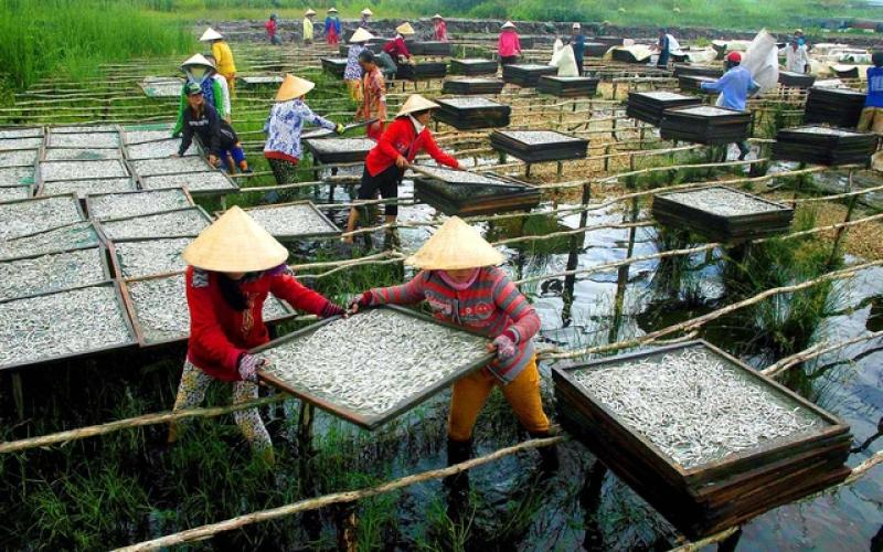 Hợp nhất Cà Mau Bạc Liêu mở ra không gian du lịch phát triển bền vững - Ảnh 5. Hợp nhất Cà Mau Bạc Liêu mở ra không gian du lịch phát triển bền vững - Ảnh 5.