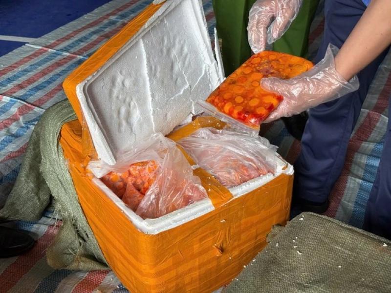 Công an tạm giữ 20 tấn nội tạng động vật bốc mùi, không rõ nguồn gốc- Ảnh 6.