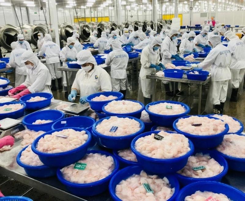 Mỹ áp thuế 0% với nhiều doanh nghiệp xuất khẩu cá tra Việt Nam - Ảnh 1.