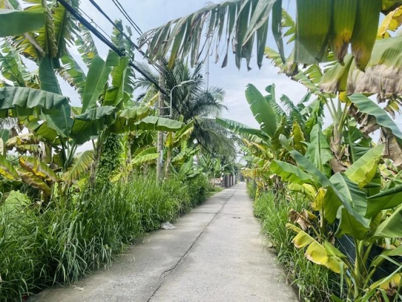 Tên phường xã mới sáp nhập ở TP.HCM: Phường Bình Quới độc nhất 'làng giữa phố'- Ảnh 4. Tên phường xã mới sáp nhập ở TP.HCM: Phường Bình Quới độc nhất 'làng giữa phố'- Ảnh 4.