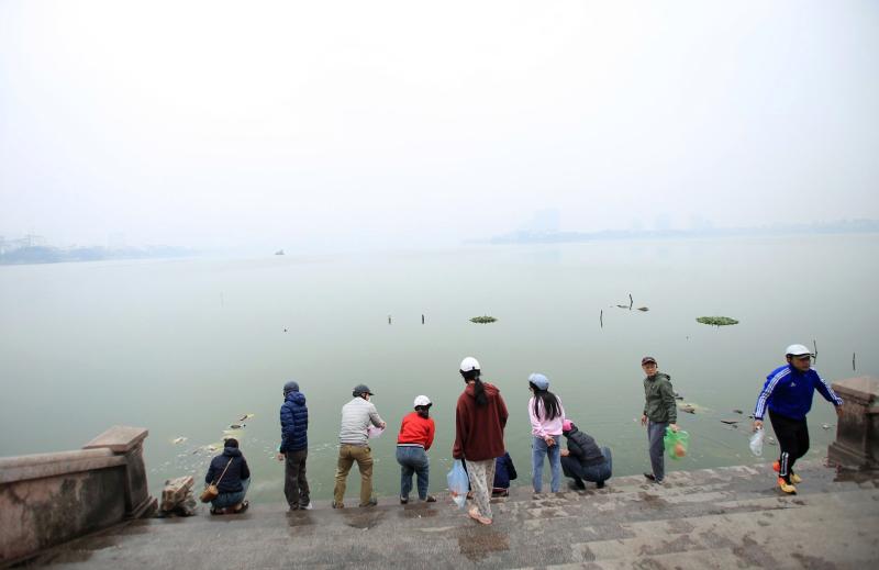 Cá chép vừa phóng sinh xuống hồ Tây đã... ngửa bụng ngày ông Công, ông Táo- Ảnh 10. Cá chép vừa phóng sinh xuống hồ Tây đã... ngửa bụng ngày ông Công, ông Táo- Ảnh 10.
