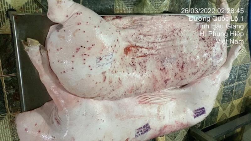 Công ty C.P bị tố ‘bán thịt bẩn’: Hướng xử lý cán bộ thú y làm sai - Ảnh 1.
