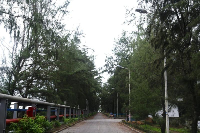 Công ty Nhiệt điện Duyên Hải: Sản xuất gắn liền với bảo vệ môi trường - Ảnh 2. Công ty Nhiệt điện Duyên Hải: Sản xuất gắn liền với bảo vệ môi trường - Ảnh 2.