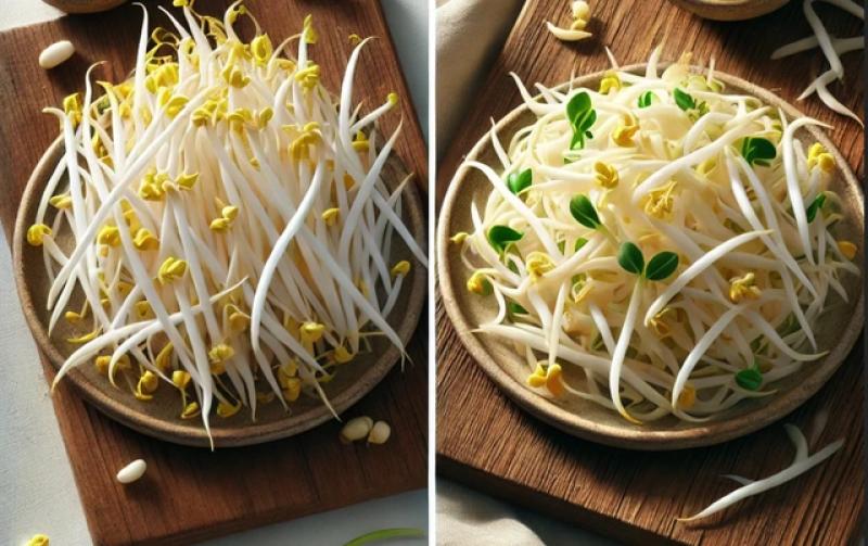 Giá sống - giá chín, ăn loại nào tốt hơn?- Ảnh 1.