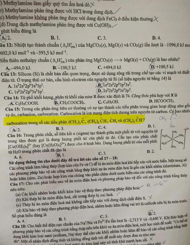  - Ảnh 1.
