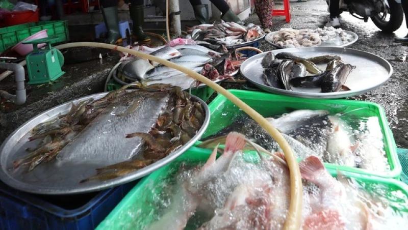 5 hộ kinh doanh có doanh thu trên 200 tỉ đồng/năm nộp thuế bao nhiêu?- Ảnh 1. 5 hộ kinh doanh có doanh thu trên 200 tỉ đồng/năm nộp thuế bao nhiêu?- Ảnh 1.