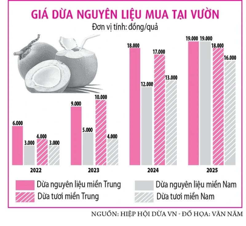Giá cà phê lao dốc, dừa tăng vọt vì sao?- Ảnh 2. Giá cà phê lao dốc, dừa tăng vọt vì sao?- Ảnh 2.