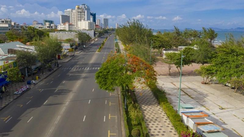 Cây phượng nửa lá nửa hoa độc lạ ở Vũng Tàu khiến du khách ngỡ ngàng hè 2025 - Ảnh 8. Cây phượng nửa lá nửa hoa độc lạ ở Vũng Tàu khiến du khách ngỡ ngàng hè 2025 - Ảnh 8.