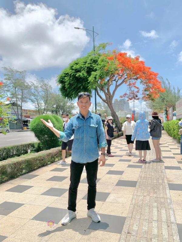 Cây phượng nửa lá nửa hoa độc lạ ở Vũng Tàu khiến du khách ngỡ ngàng hè 2025 - Ảnh 5. Cây phượng nửa lá nửa hoa độc lạ ở Vũng Tàu khiến du khách ngỡ ngàng hè 2025 - Ảnh 5.