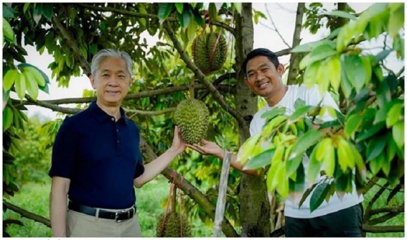 Campuchia bắt đầu bán sầu riêng cho Trung Quốc - Ảnh 1.