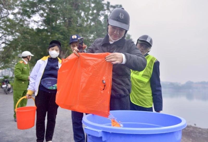 Cá chép vừa phóng sinh xuống hồ Tây đã... ngửa bụng ngày ông Công, ông Táo- Ảnh 7. Cá chép vừa phóng sinh xuống hồ Tây đã... ngửa bụng ngày ông Công, ông Táo- Ảnh 7.