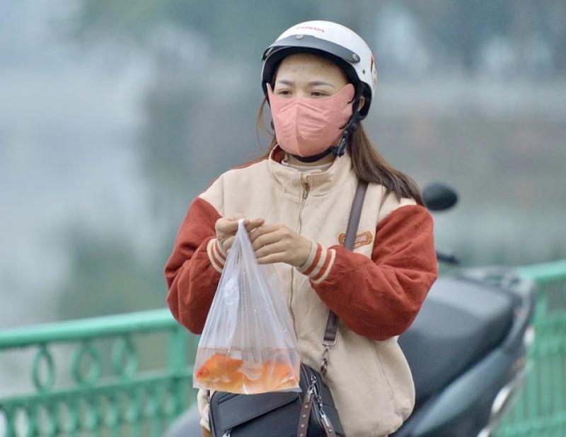 Cá chép vừa phóng sinh xuống hồ Tây đã... ngửa bụng ngày ông Công, ông Táo- Ảnh 6. Cá chép vừa phóng sinh xuống hồ Tây đã... ngửa bụng ngày ông Công, ông Táo- Ảnh 6.
