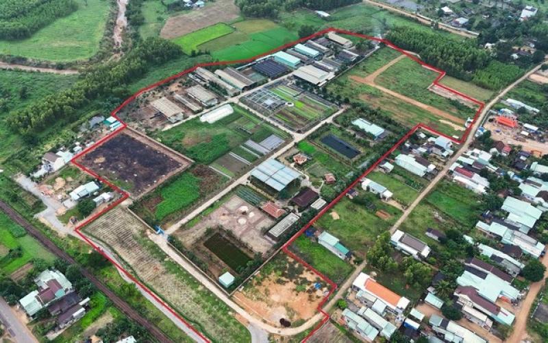 Sẽ thu hồi dự án sản xuất rau an toàn tại Bình Định do sai phạm- Ảnh 3.