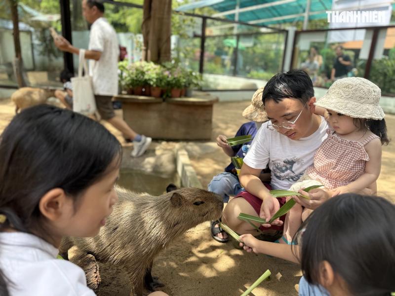 Vườn thú mới toanh ngay trung tâm TP.HCM: Capybara, cầy Meerkat... bé nào cũng mê - Ảnh 1. Vườn thú mới toanh ngay trung tâm TP.HCM: Capybara, cầy Meerkat... bé nào cũng mê - Ảnh 1.