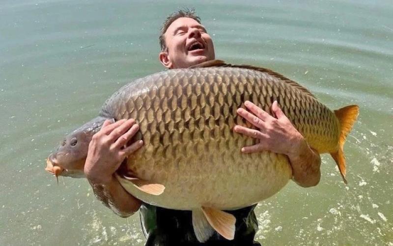 Câu được cá chép nặng hơn 47 kg - Ảnh 1.
