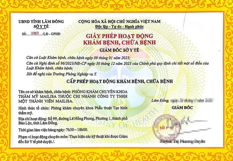 Mailisa Bảo Lộc được cấp phép những dịch vụ gì?- Ảnh 1.