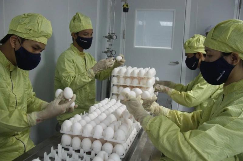 Vắc xin cúm mùa 3 chủng: Xu hướng và lợi ích - Ảnh 2.