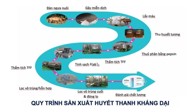IVACRIG: Huyết thanh kháng dại tinh sạch, an toàn hơn, hiệu quả hơn- Ảnh 3. IVACRIG: Huyết thanh kháng dại tinh sạch, an toàn hơn, hiệu quả hơn- Ảnh 3.