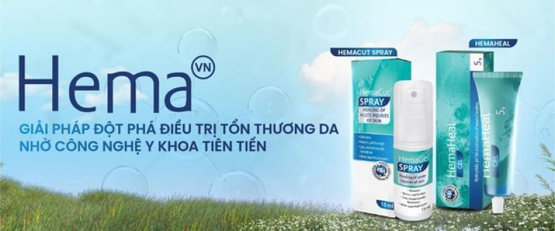 Hema - Định hình lại sự phục hồi- Ảnh 1. Hema - Định hình lại sự phục hồi- Ảnh 1.