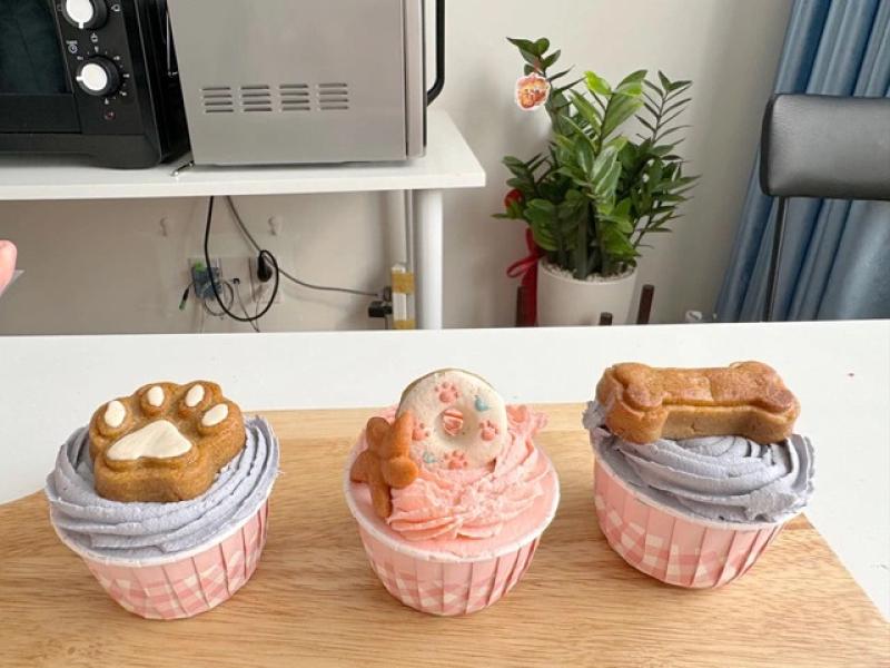 Nghỉ công việc văn phòng, tự làm bánh kem dành bán sinh nhật cho thú cưng- Ảnh 3. Nghỉ công việc văn phòng, tự làm bánh kem dành bán sinh nhật cho thú cưng- Ảnh 3.