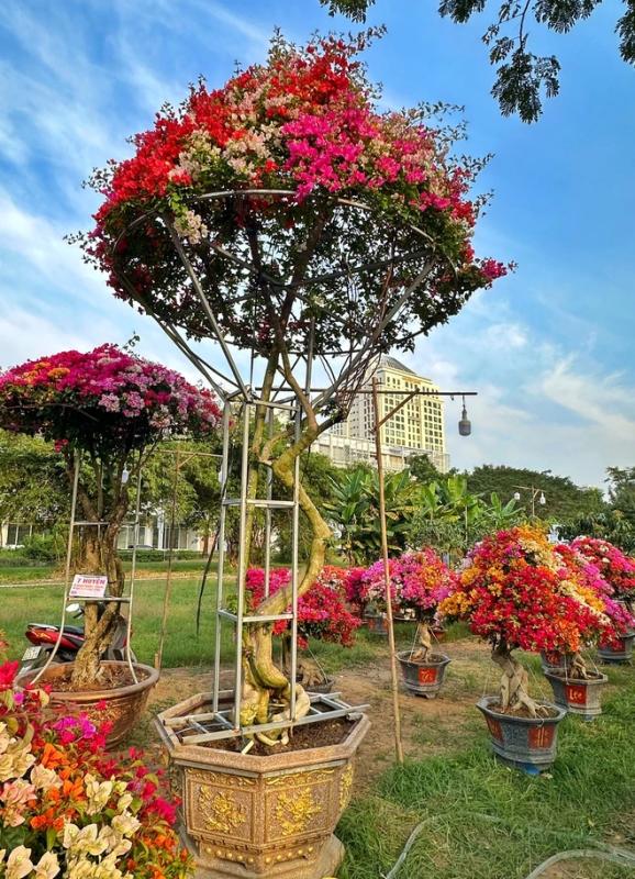 Mang gia tài 7 tỉ đến 'khu nhà giàu' ở TP.HCM: Được khách sộp chốt ngay để chơi Tết- Ảnh 3.