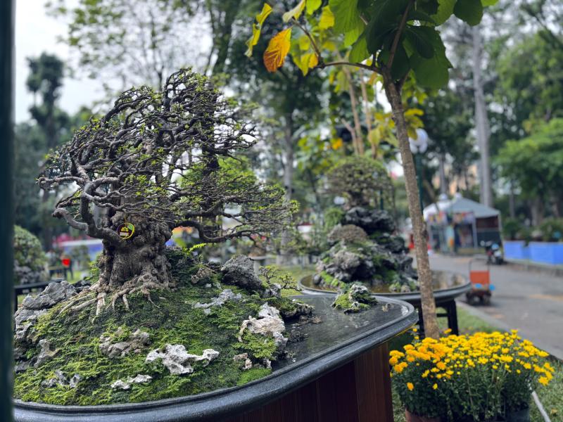 Sau đường hoa Nguyễn Huệ, thêm 'gia đình rắn' có mặt ở Tao Đàn để người dân TP.HCM check-in- Ảnh 11.