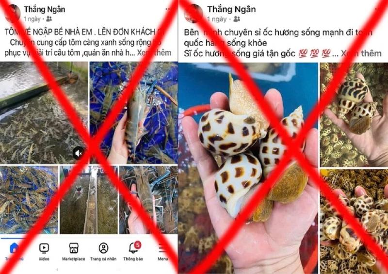 Cặp vợ chồng ở TP.HCM lừa bán hải sản cho hàng trăm người, chiếm đoạt 300 triệu- Ảnh 2.