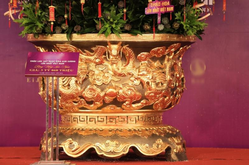 Chậu lan khổng lồ, giá tiền tỉ... 4 năm vẫn chờ đại gia mua về chơi tết- Ảnh 4. Chậu lan khổng lồ, giá tiền tỉ... 4 năm vẫn chờ đại gia mua về chơi tết- Ảnh 4.