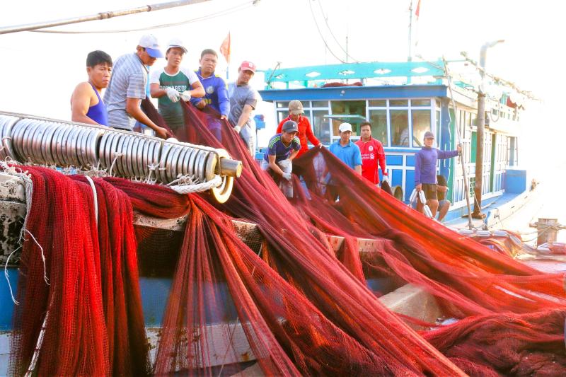 13 đặc khu của Việt Nam: Lý Sơn - đặc khu đất chật người đông- Ảnh 5. 13 đặc khu của Việt Nam: Lý Sơn - đặc khu đất chật người đông- Ảnh 5.