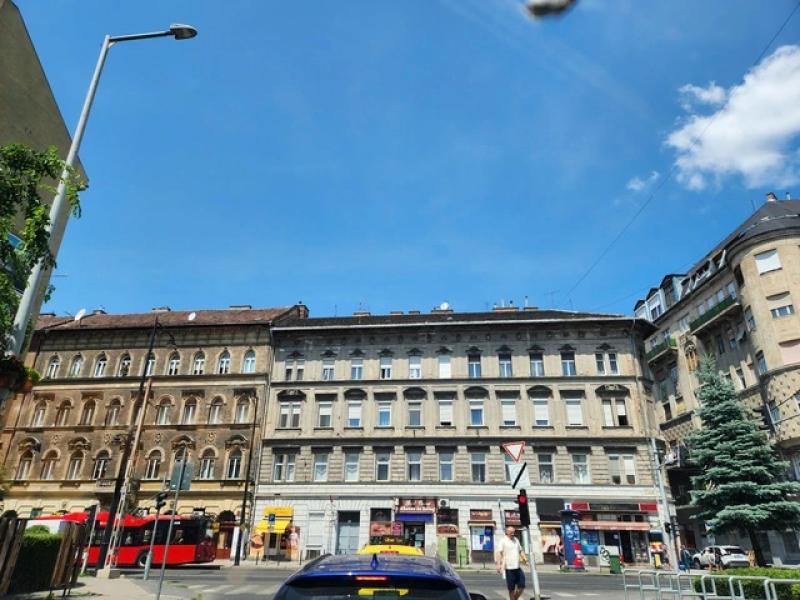 Chung dòng máu Lạc Hồng tại Hungary: Hành trình của người Việt giữa lòng châu Âu - Ảnh 7.