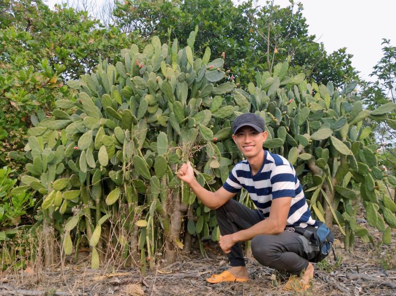 [Trải qua 3 năm trồng, anh Huy tạo ra được vườn cây xương rồng phát triển xanh tốt, cho năng suất cao]_[NVCC].jpg