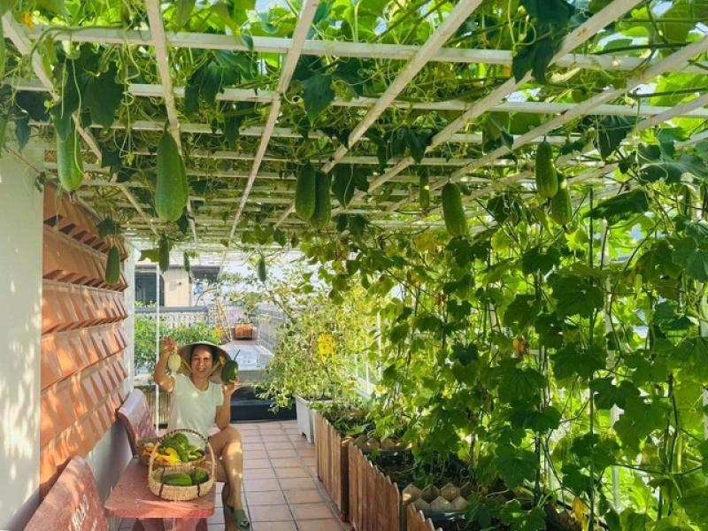 Gia đình doanh nhân Cần Thơ: 5 năm ăn rau sạch trên sân thượng - Ảnh 8.