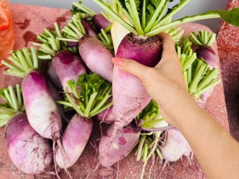 Gia đình doanh nhân Cần Thơ: 5 năm ăn rau sạch trên sân thượng - Ảnh 6.