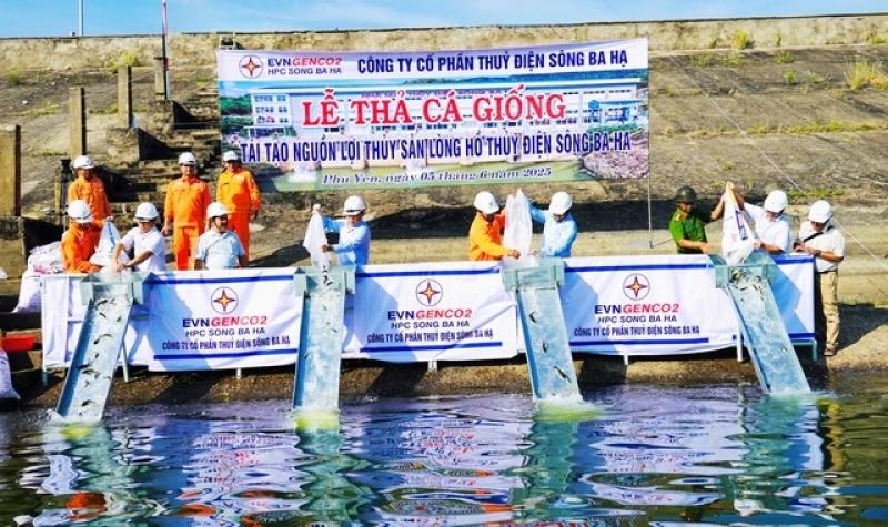 Thả cá giống tái tạo nguồn lợi thủy sản ở lòng hồ Sông Ba Hạ- Ảnh 1. Thả cá giống tái tạo nguồn lợi thủy sản ở lòng hồ Sông Ba Hạ- Ảnh 1.