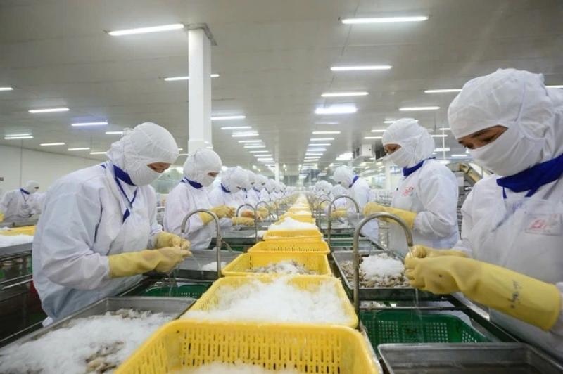 6 tháng: 29% nhà đầu tư Mỹ nói kết quả kinh doanh 'thấp hơn kỳ vọng'- Ảnh 1.