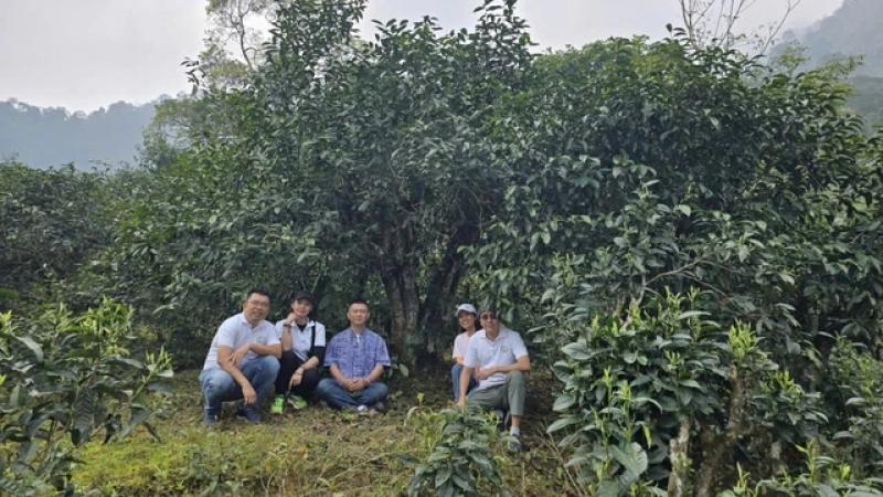 Uống trà đi!: Nghĩa đồng bào với non cao A Mú Sung- Ảnh 1.