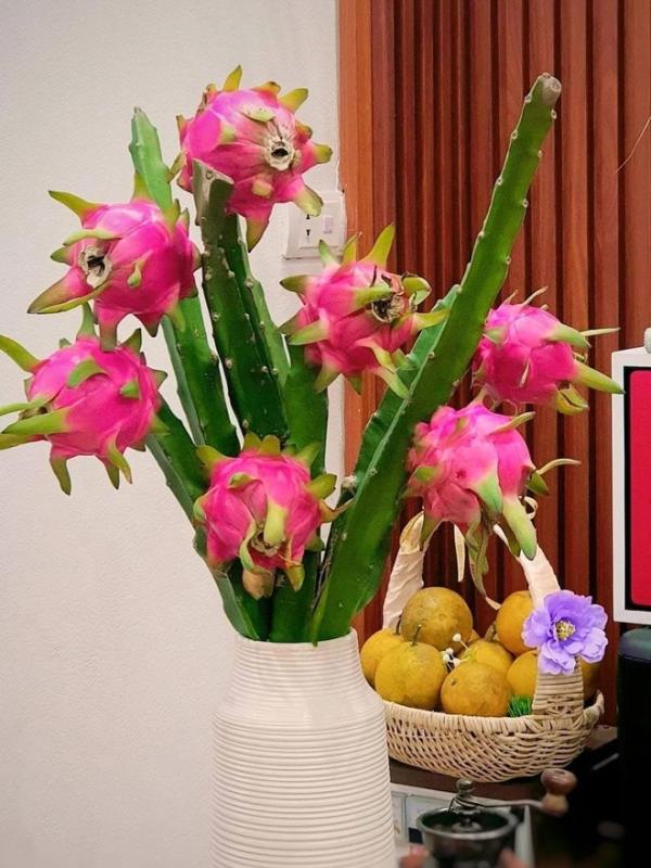 Cô giáo Phú Thọ gây sốt với thú chơi cắm cành trái cây độc đáo , đặc biệt là dừa - Ảnh 6. Cô giáo Phú Thọ gây sốt với thú chơi cắm cành trái cây độc đáo , đặc biệt là dừa - Ảnh 6.