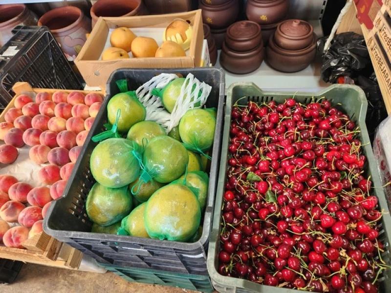 Chung dòng máu Lạc Hồng tại Hungary: Hành trình của người Việt giữa lòng châu Âu - Ảnh 11.