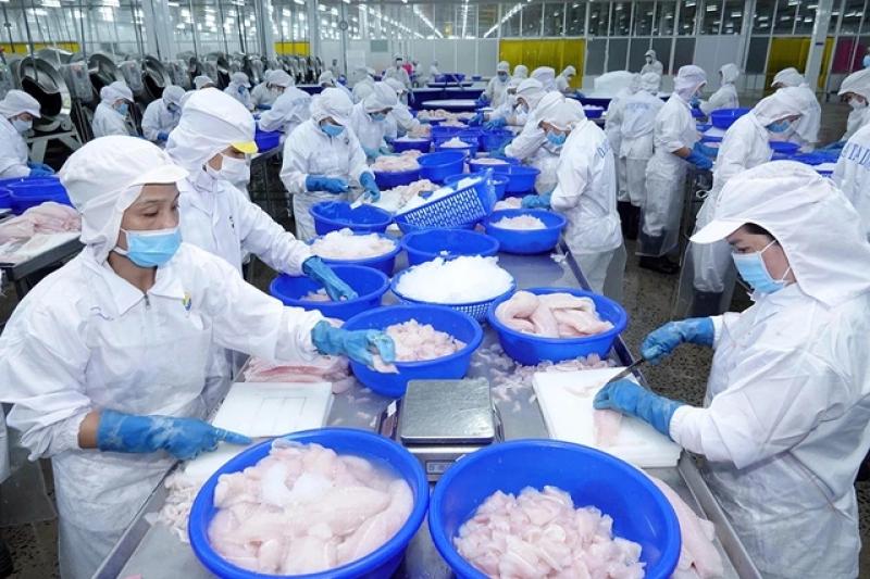 Thủy sản giải 'bài toán' thuế đối ứng- Ảnh 1. Thủy sản giải 'bài toán' thuế đối ứng- Ảnh 1.