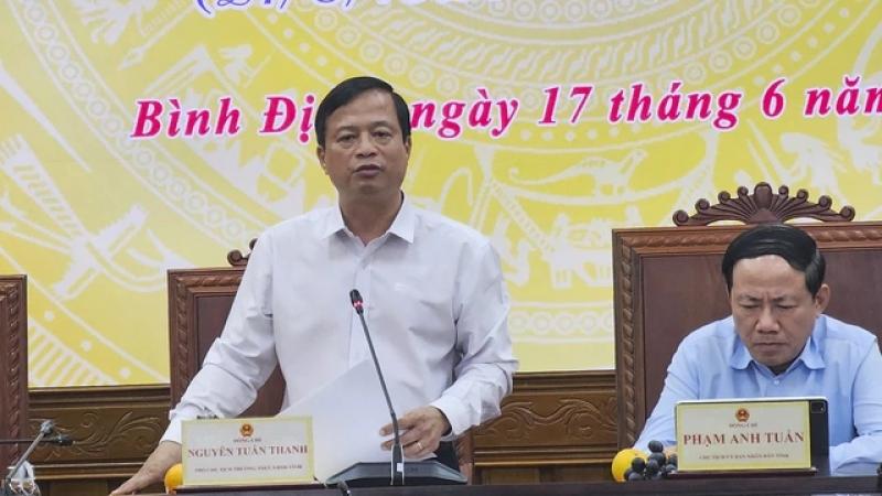 Sẽ thu hồi dự án sản xuất rau an toàn tại Bình Định do sai phạm- Ảnh 2.