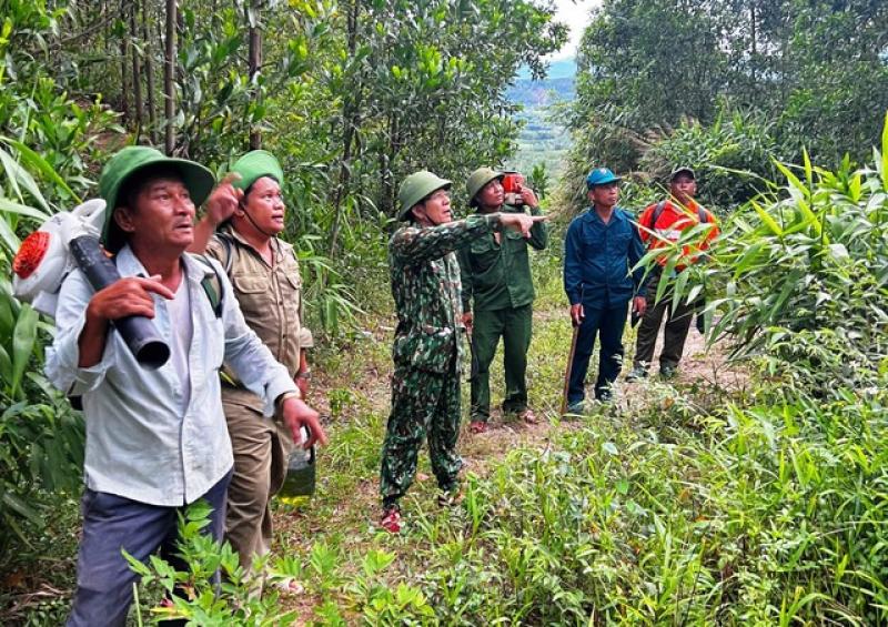 Phó chủ tịch TP.Đà Nẵng leo lên đỉnh núi chỉ đạo vụ cháy rừng quy mô lớn- Ảnh 1. Phó chủ tịch TP.Đà Nẵng leo lên đỉnh núi chỉ đạo vụ cháy rừng quy mô lớn- Ảnh 1.