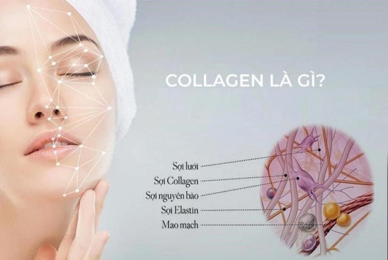Bổ sung collagen cho làn da trẻ lại hay chỉ khiến ví tiền ‘già’ đi? - Ảnh 2.