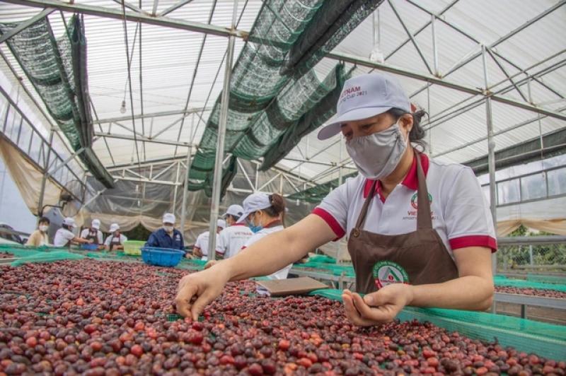Hai ngành hàng chục tỉ đô cùng kiến nghị thuế VAT - Ảnh 2.