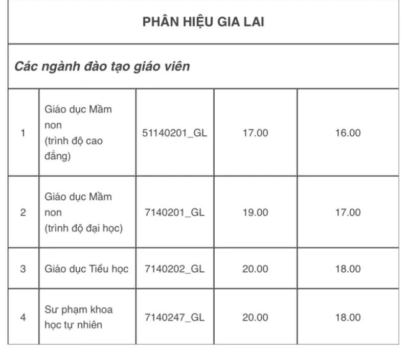 Trường ĐH Sư phạm TP.HCM có nhiều ngành lấy điểm sàn từ 24 điểm - Ảnh 5.