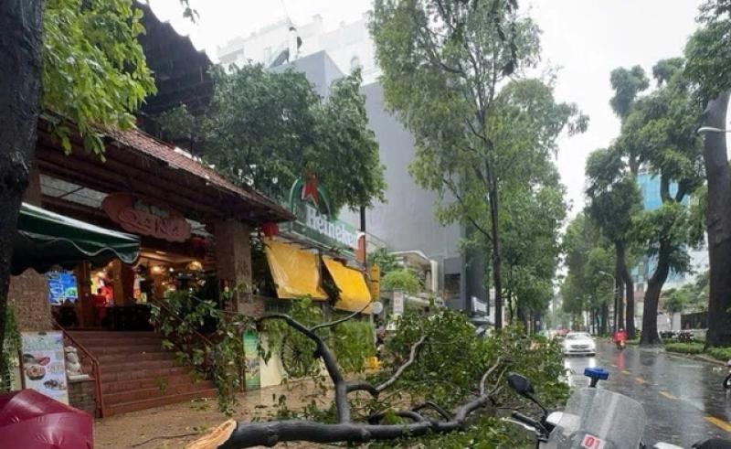 Gió lớn, nhiều cây xanh tét nhánh rơi xuống đường trung tâm TP.HCM - Ảnh 2.