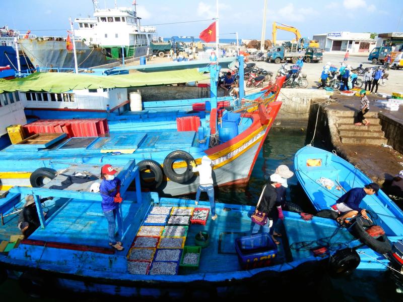 13 đặc khu của Việt Nam: Phú Quý hậu cứ Trường Sa- Ảnh 20. 13 đặc khu của Việt Nam: Phú Quý hậu cứ Trường Sa- Ảnh 20.